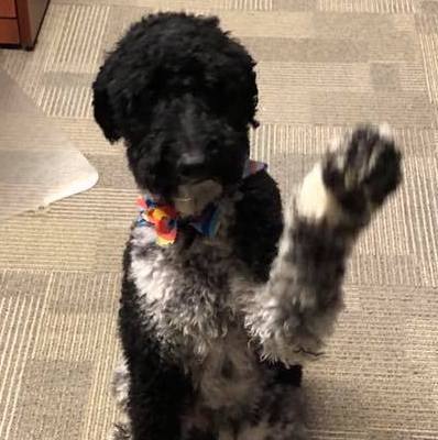 Colbie_waving_square