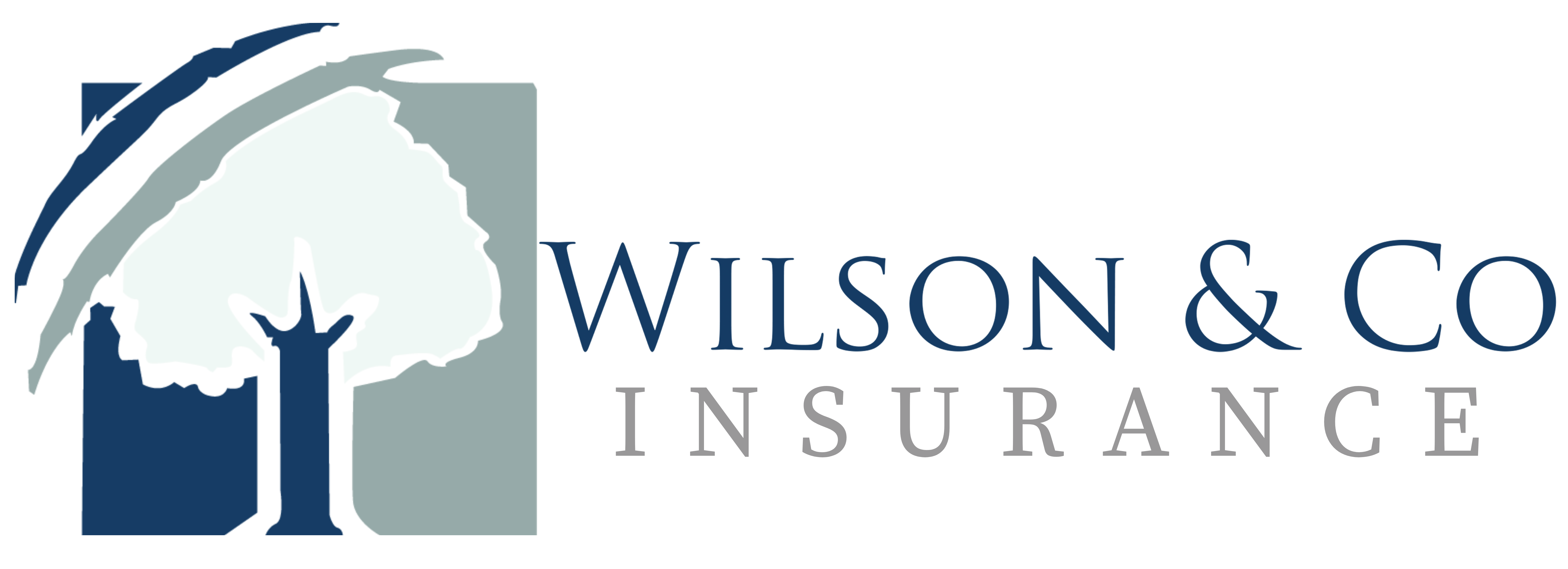 Different Types of Medicare Advantage Plans | Wilson & Company